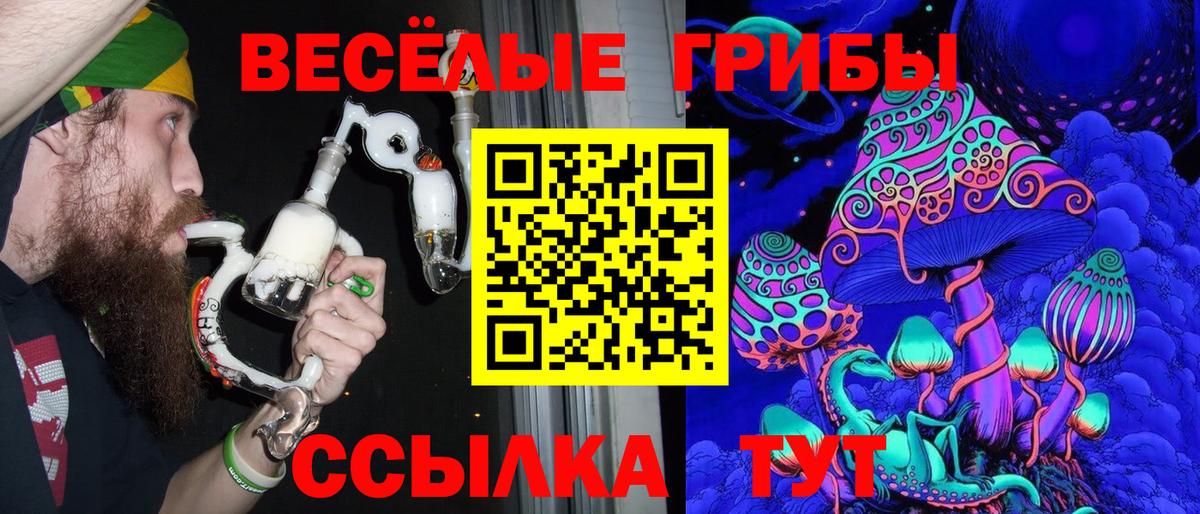 Галлюциногенные грибы прущие грибы Вышний Волочёк